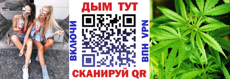 Бошки марихуана SATIVA & INDICA  наркотики  Шилка 